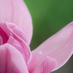 Immagini gratis per uso commerciale