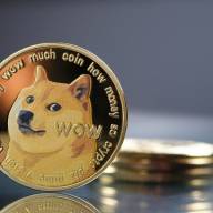 Dogecoin: la causa con Elon Musk si allarga! - Follia nei tribunali USA